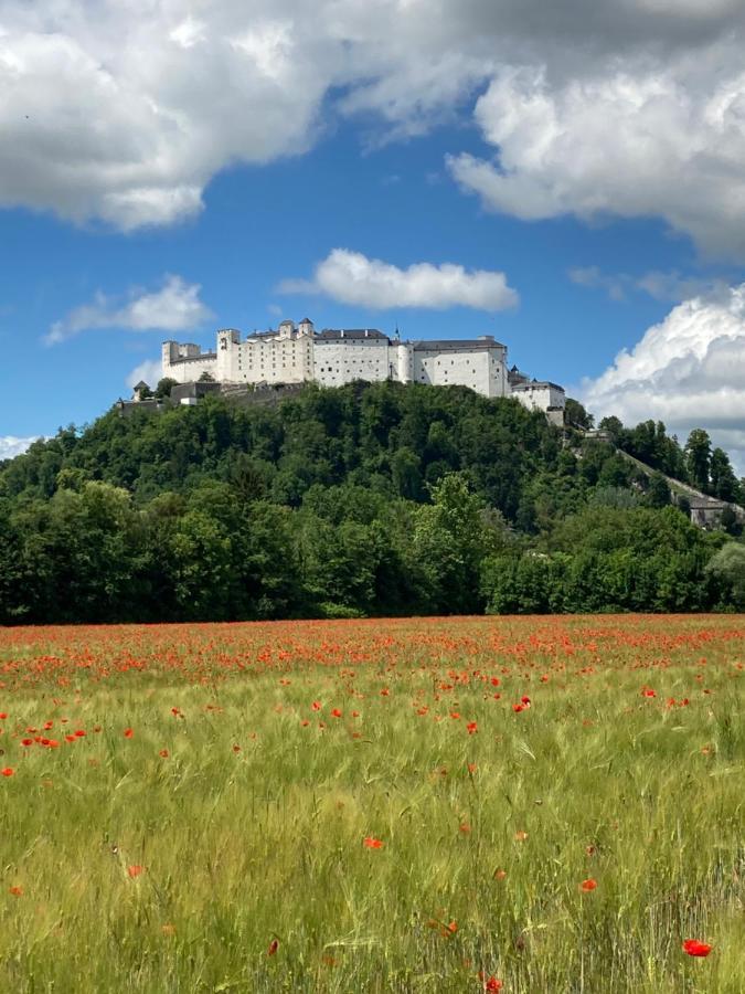 Haus Haslach Elsbethen Eksteriør billede