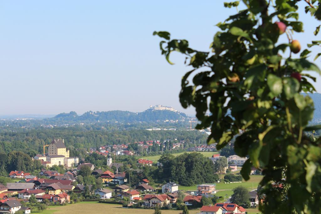 Haus Haslach Elsbethen Værelse billede